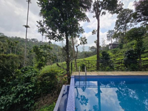 Vythiri hill palace